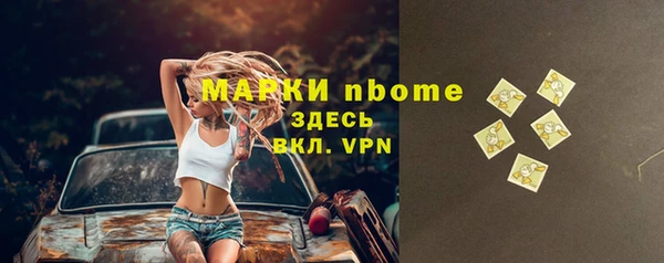 индика Нея