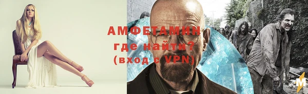 амф Новозыбков