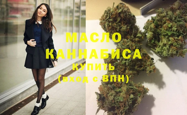 амф Новозыбков