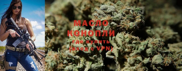 амф Новозыбков