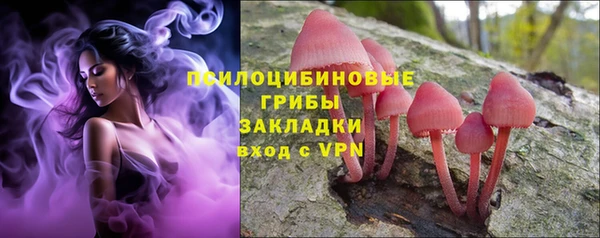 PSILOCYBIN Нефтекумск