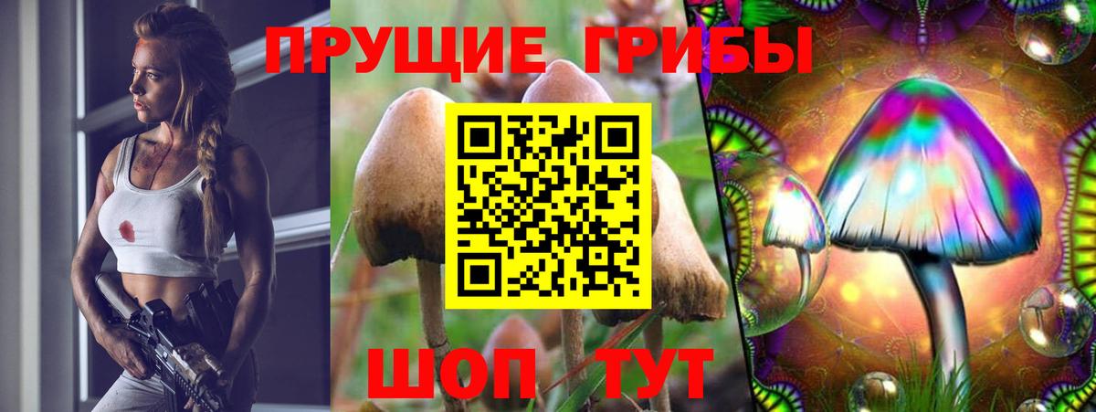 Нарткала  Галлюциногенные грибы MAGIC MUSHROOMS  Галлюциногенные грибы мицелий  Вход с VPN 