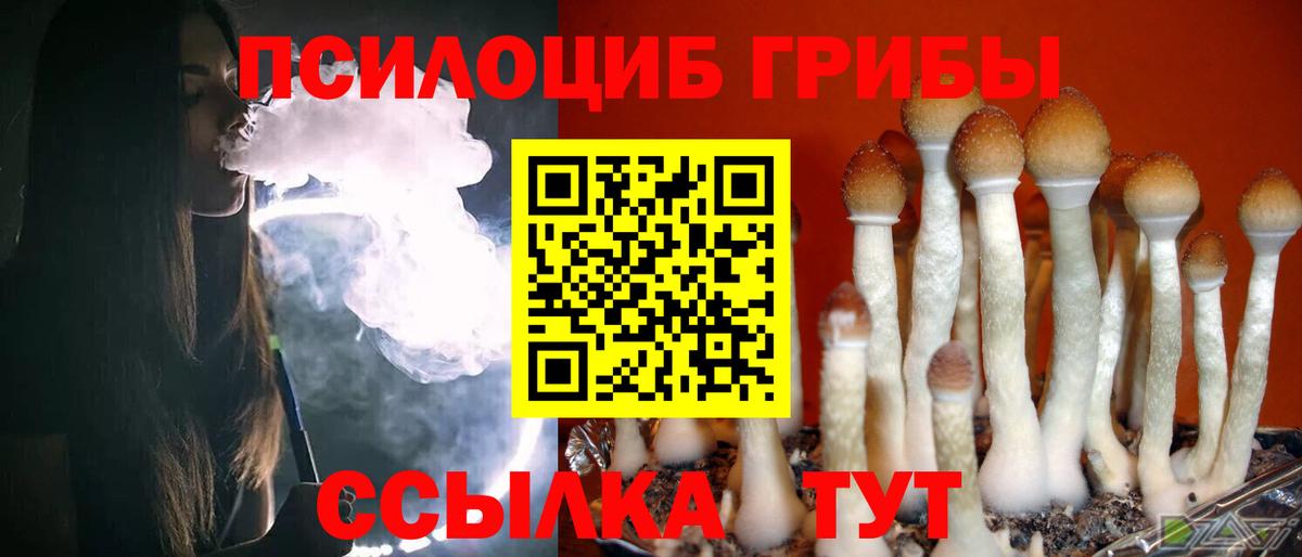 Псилоцибиновые грибы Magic Shrooms Нарткала